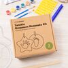 Twinkle Ornament Keepsake Kit, Multi - Ornaments - 5