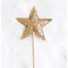 Super Star Wand - Gold - Costumes - 3