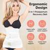 Revive 3-in-1 Postpartum Recovery Support Belt, Matte White - Belts - 2