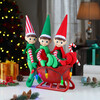 Tabletop Elves in Sleigh - Accents - 2