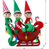 Tabletop Elves in Sleigh - Accents - 7