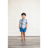Chex Thistle Shirt, Blue - Shirts - 3