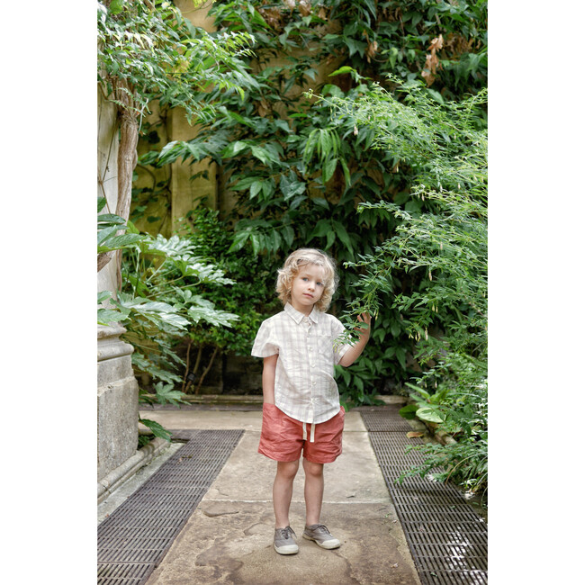 Chex Thistle Shirt, White - Shirts - 3
