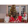 Nutcracker Dempsey Dress, Multi - Dresses - 4