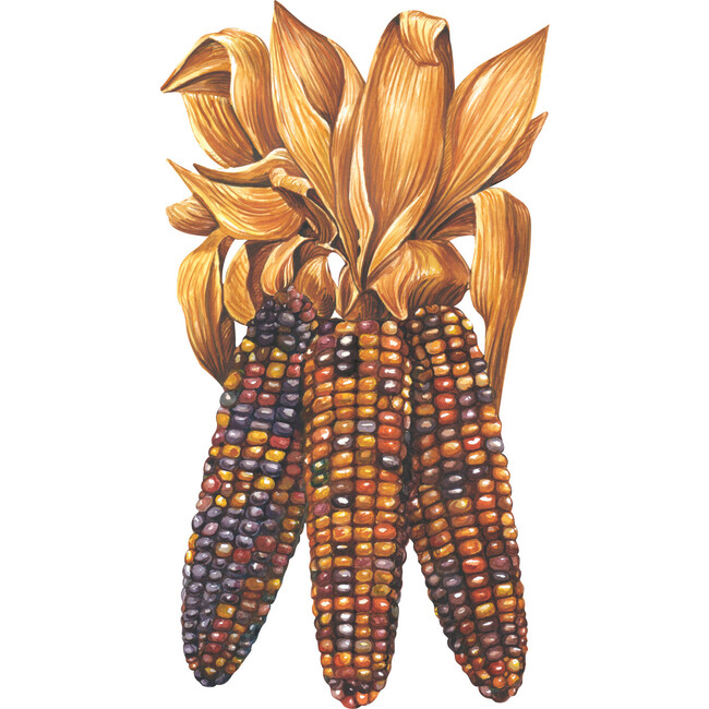 Maize Table Accent, Multi - Tabletop - 1