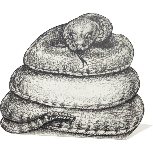 Coiled Snake Place Card, Black And White