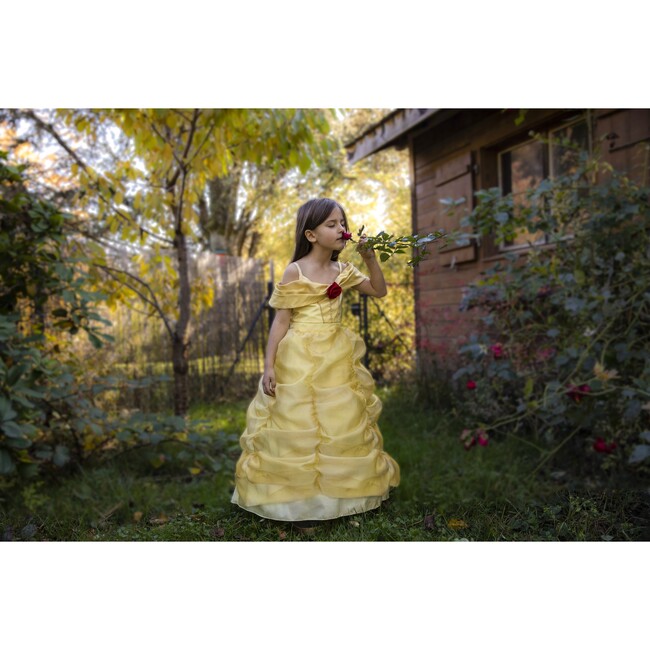 Boutique Belle Gown - Costumes - 4