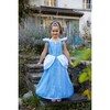 Boutique Cinderella Gown - Costumes - 5