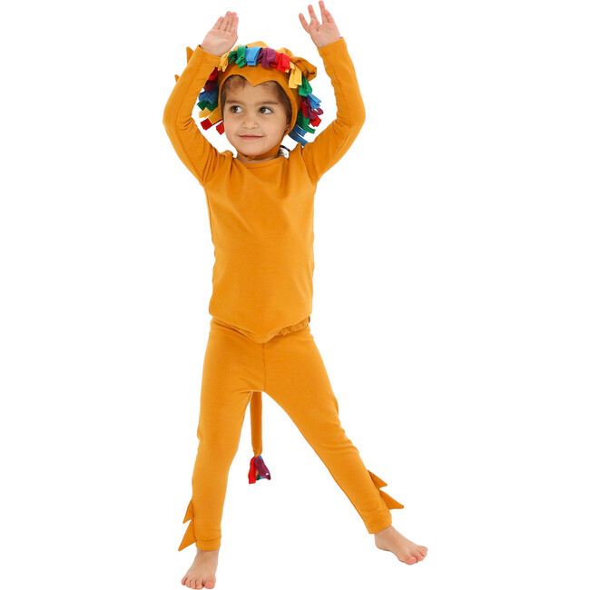Rainbow Lion Pajama Costume