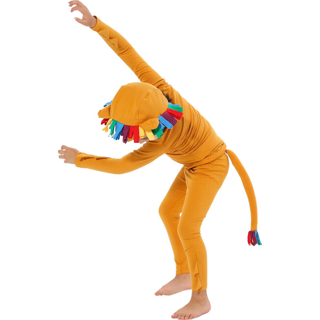 Rainbow Lion Costume Hat and Tail