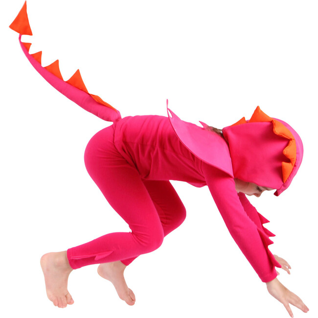 Dragon Costume Accessory Set, Pink