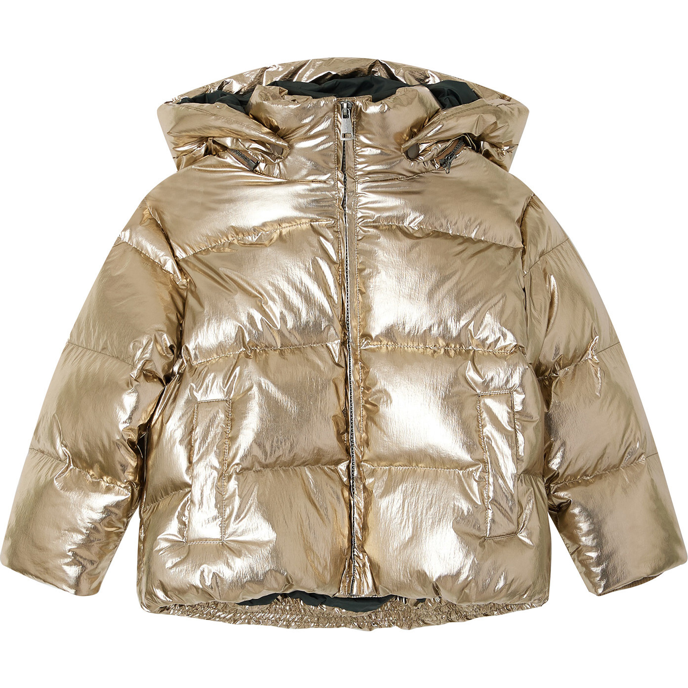 Puffer & Down Jacket, Metallic - Coats - 1