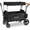 Pull & Push Double Stroller Wagon 2 Seater, Black - Double Strollers - 1 - thumbnail