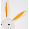 Bunny In Hat Shaped Plates - Party Accessories - 2