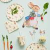 Peter Rabbit Plate - Party - 2