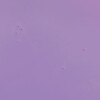 BARBIE™ DREAMHOUSE™ PURPLE, True purple - Wall Décor - 5