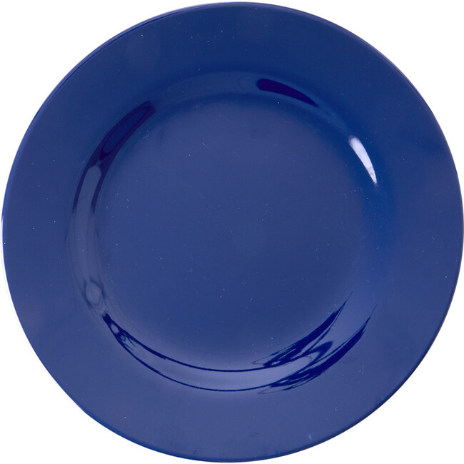 Lunch Plate Navy Blue