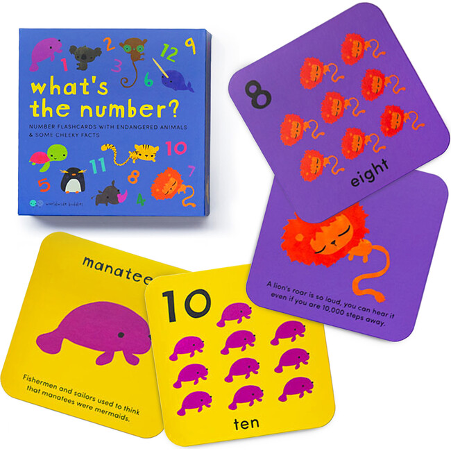 What's The Number? Number Flashcards - Developmental Toys - 1