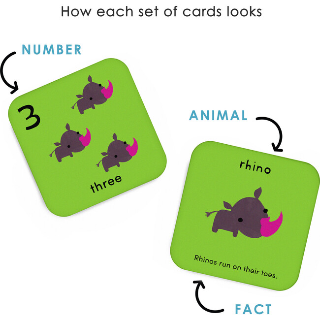 What's The Number? Number Flashcards