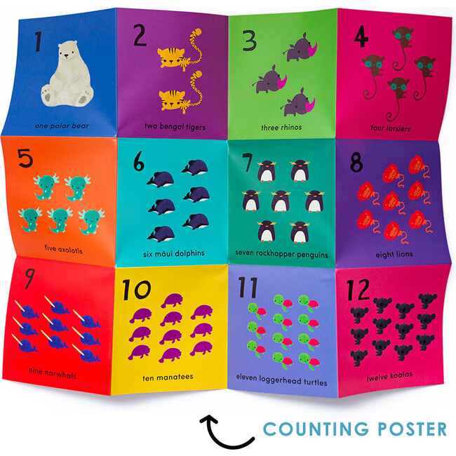 What's The Number? Number Flashcards - Educational Toys - 3