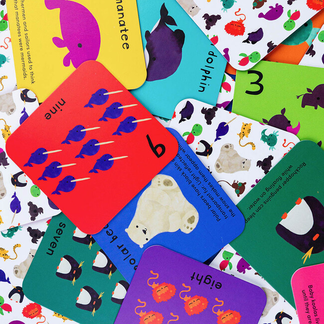 What's The Number? Number Flashcards - Educational Toys - 7