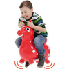 Country House & Horse Red - Outdoor Games - 4