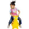 Country House & Gyffy - Outdoor Games - 4