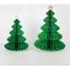 Large Honeycomb Trees - Party - 3