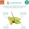 Orange Tree Toys Push Along, Crocodile - Push & Pull - 3 - thumbnail