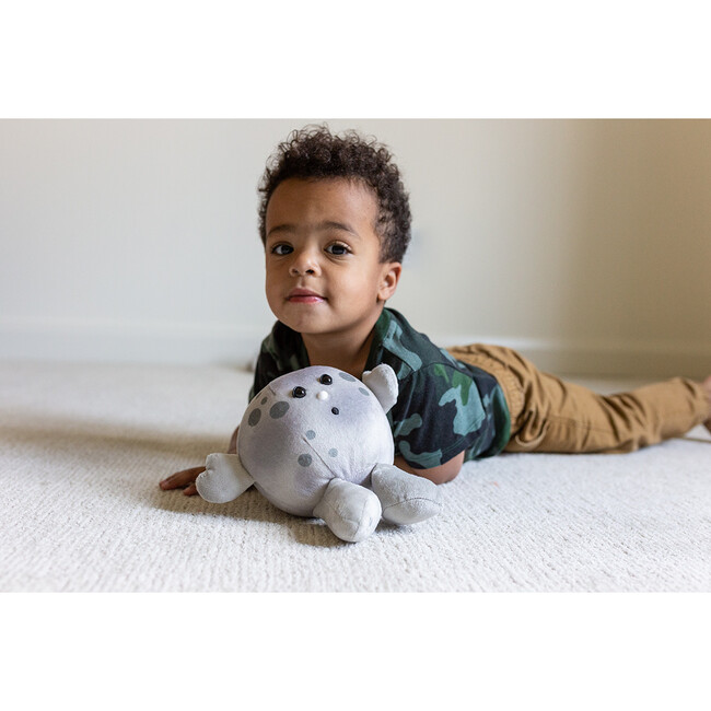 Celestial Buddies Sun Buddy, Solar System Book & Earth Crunch Bunch Giftset - Plush - 4