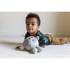 Celestial Buddies Sun Buddy, Solar System Book & Earth Crunch Bunch Giftset - Plush - 4
