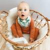 Classic Muslin Bandana Bib Set, Jungle + Rainforest - Bibs - 2