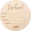 Milestone Photo Disc, Birth Announcement - Decorations - 1 - thumbnail