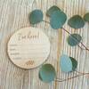 Milestone Photo Disc, Birth Announcement - Decorations - 3