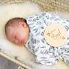 Milestone Photo Disc, It's a Boy - Decorations - 2