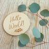 Milestone Photo Disc, Hello World - Decorations - 3