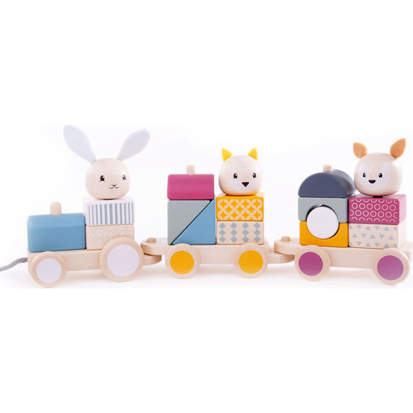 Activity Pull-Along Train - Bigjigs Toys Push & Pull | Maisonette