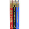 Heroes of Marvel Collection - Books - 2