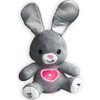 Musical Floppy Eared Bunny - Plush - 1 - thumbnail