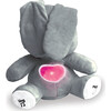 Musical Floppy Eared Bunny - Plush - 2