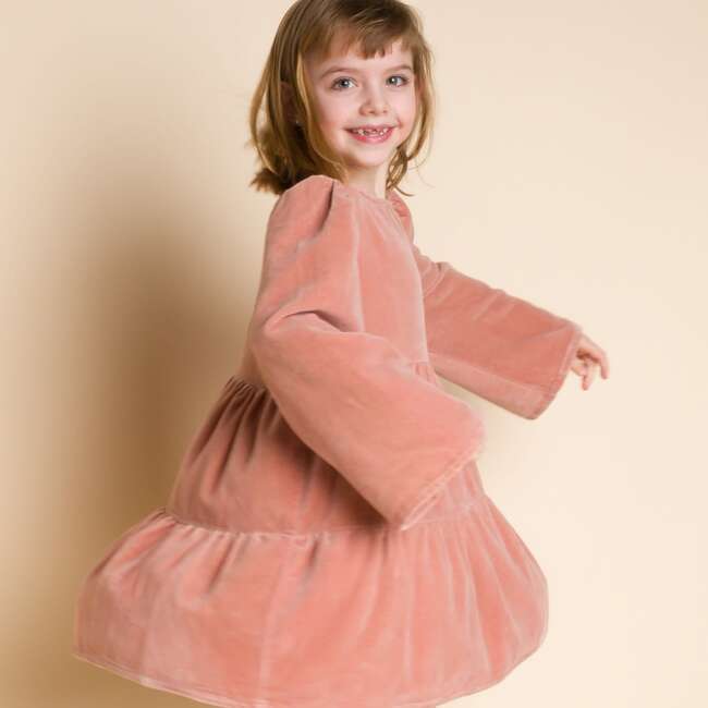 Holly Dress,  Blush Velvet - Dresses - 5