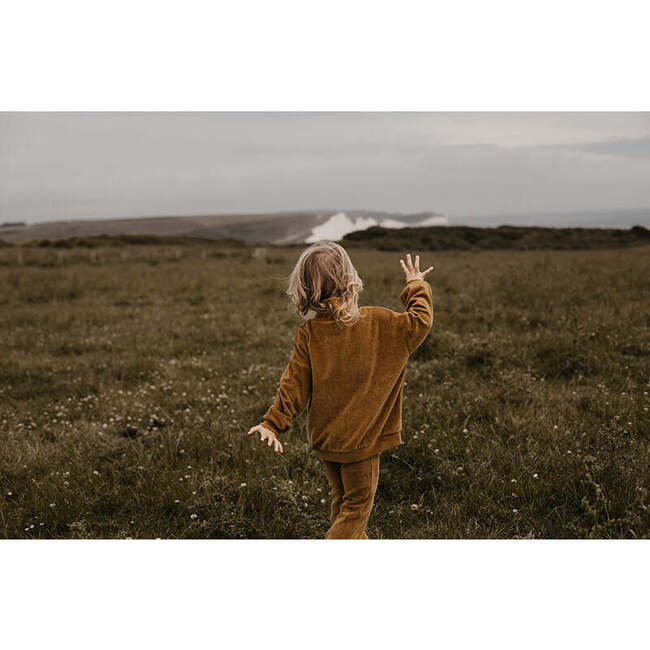 The Velvet Sweater, Bronze - Sweaters - 2