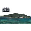 Robocroc R/C 2.4G - Tech Toys - 2