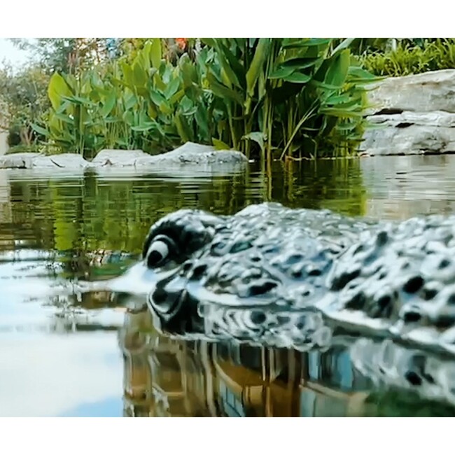 Robocroc R/C 2.4G - Tech Toys - 3
