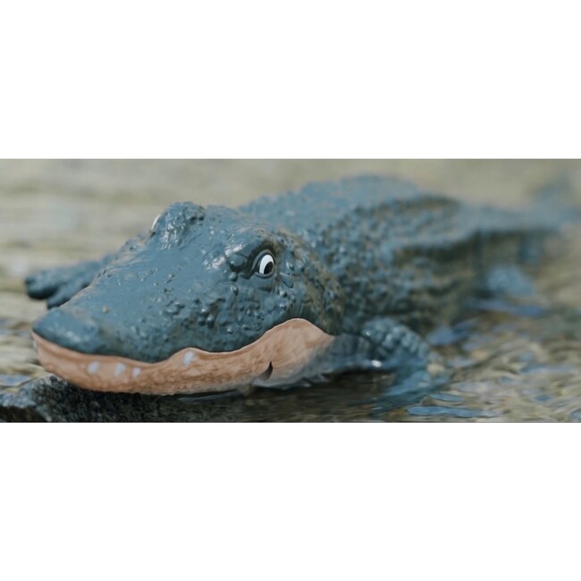 Robocroc R/C 2.4G - Tech Toys - 4