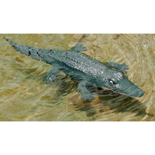 Robocroc R/C 2.4G - Tech Toys - 5