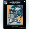 NFL Philadelphia Eagles Team Pride Paint By Number Kit - Arts & Crafts - 1 - thumbnail