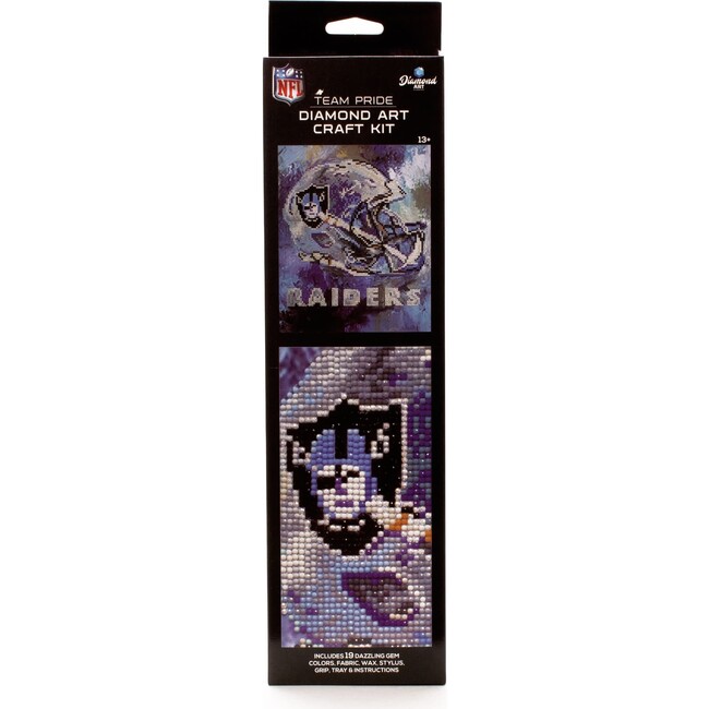 NFL Las Vegas Raiders Diamond Art Craft Kit - Arts & Crafts - 1