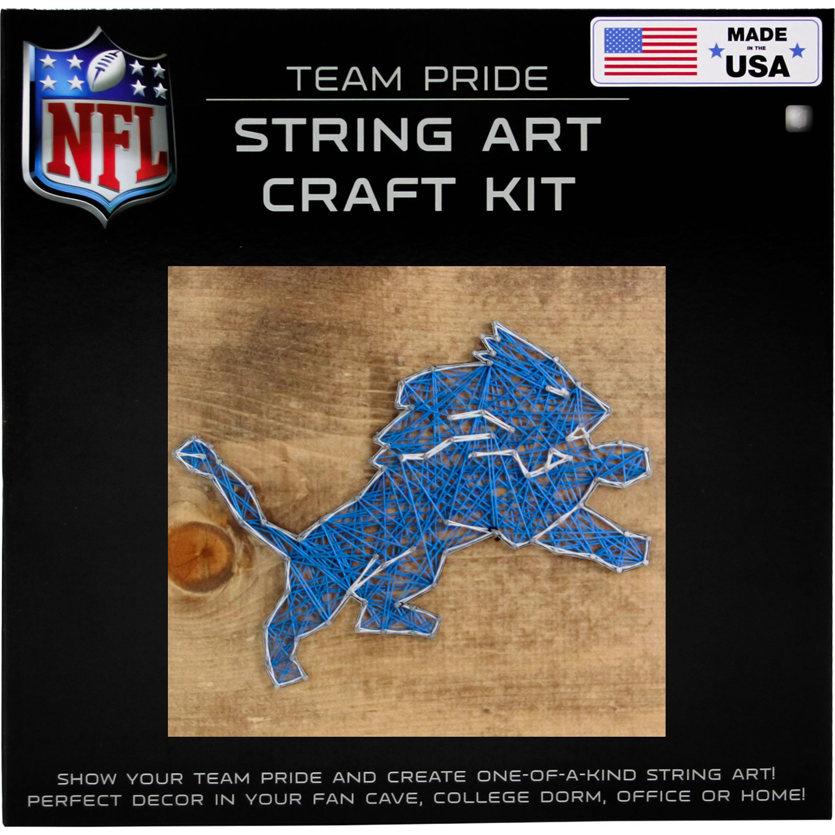 Officially Licensed NFL String Art Kit - Detroit Lions