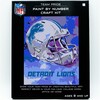 NFL Detroit Lions Team Pride Paint By Number Kit - Arts & Crafts - 1 - thumbnail